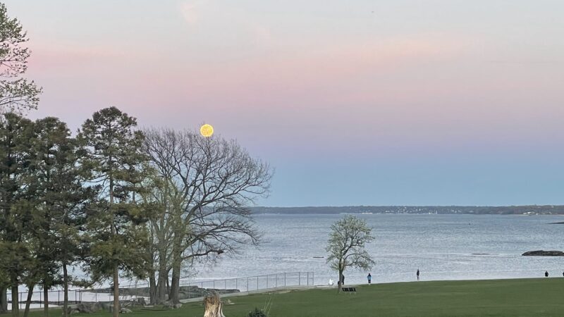 Davenport Park - New Rochelle, NY