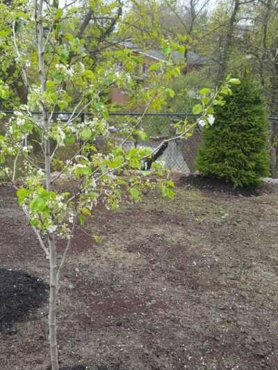 Eddie Foy Park - New Rochelle, NY