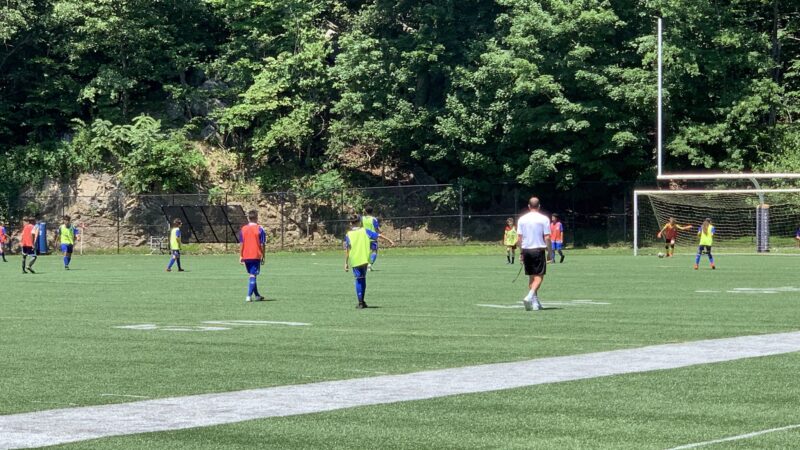 Flowers Park - New Rochelle, NY