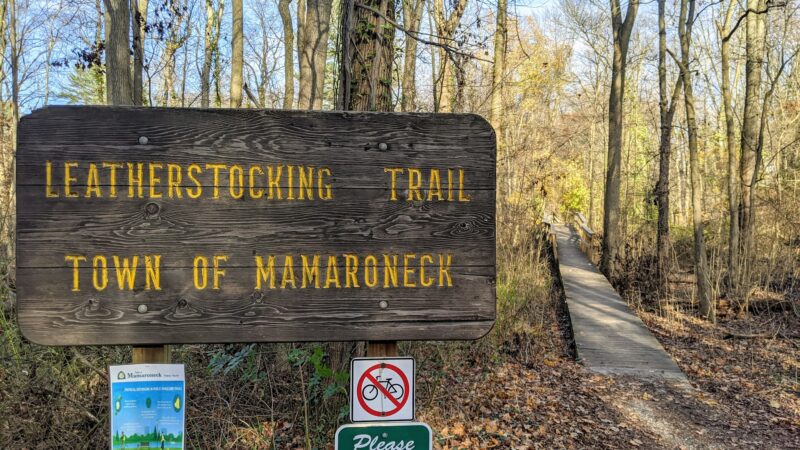 Leatherstocking Trail - New Rochelle, NY