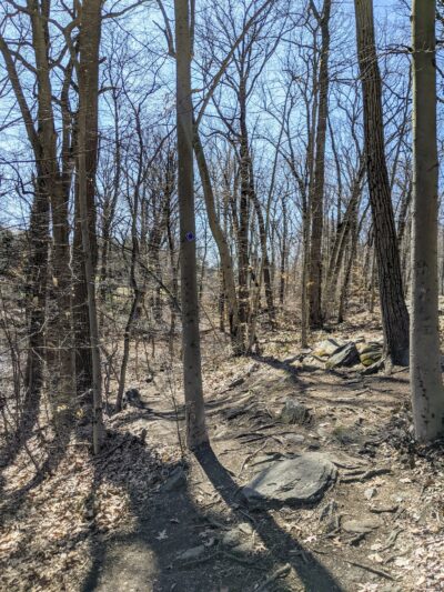 Leatherstocking Trail - New Rochelle, NY