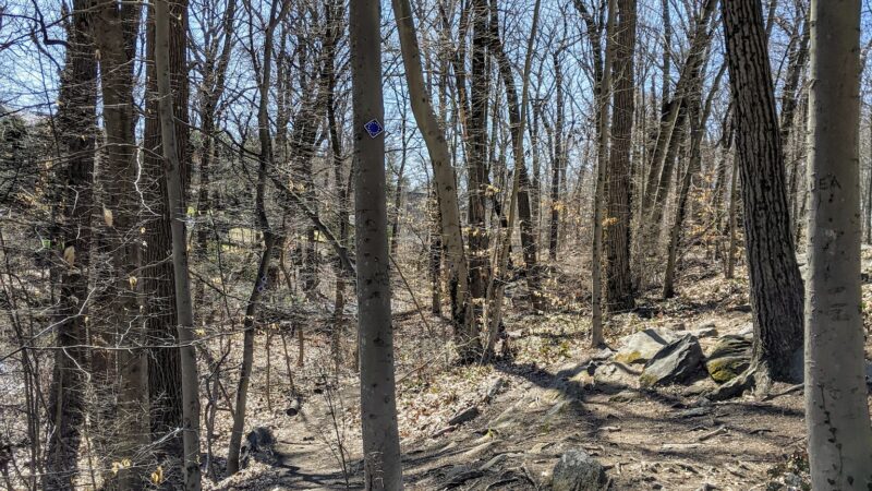 Leatherstocking Trail - New Rochelle, NY
