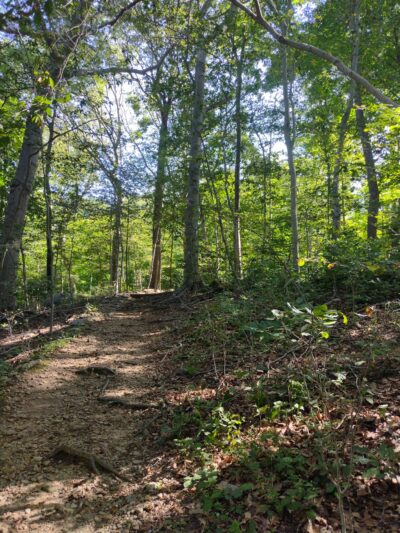 Leatherstocking Trail - New Rochelle, NY