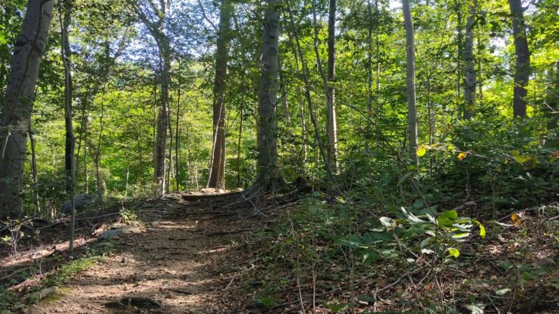 Leatherstocking Trail - New Rochelle, NY