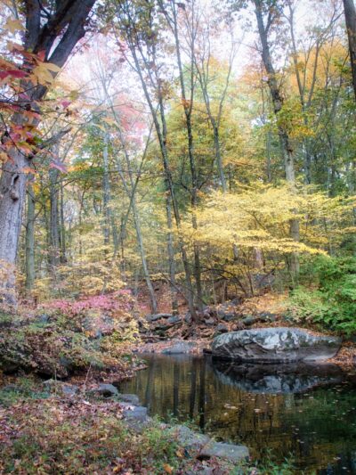 Leatherstocking Trail - New Rochelle, NY