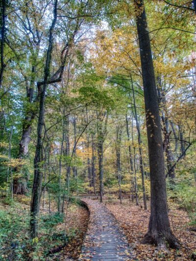 Leatherstocking Trail - New Rochelle, NY