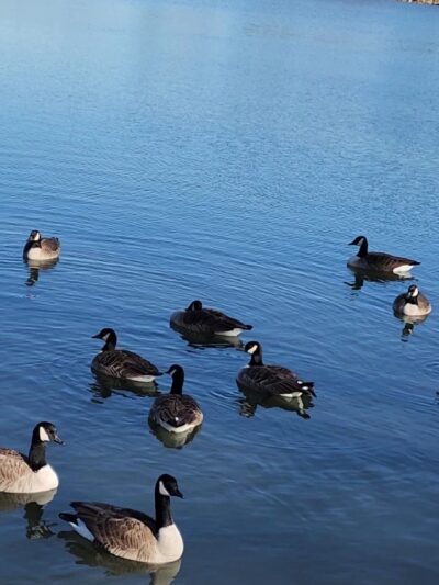 Huguenot Park - New Rochelle, NY