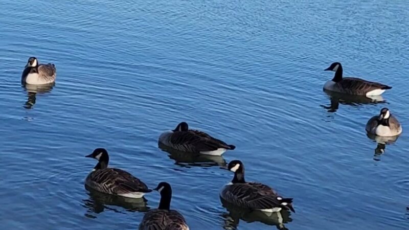 Huguenot Park - New Rochelle, NY