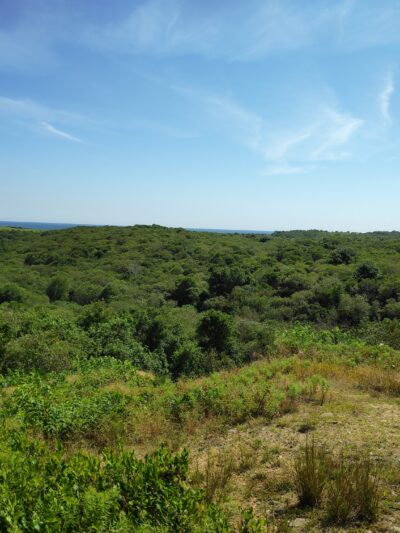 Rodman's Hollow - New Shoreham, RI