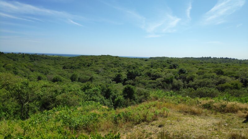 Rodman's Hollow - New Shoreham, RI