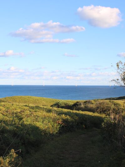 Rodman's Hollow - New Shoreham, RI