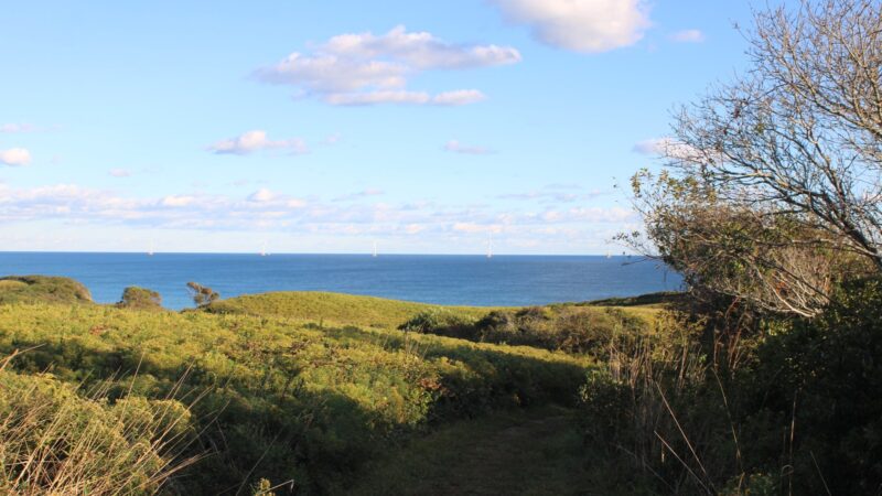 Rodman's Hollow - New Shoreham, RI