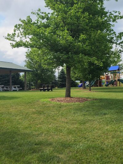 Luxemburg City Park - New Vienna, IA