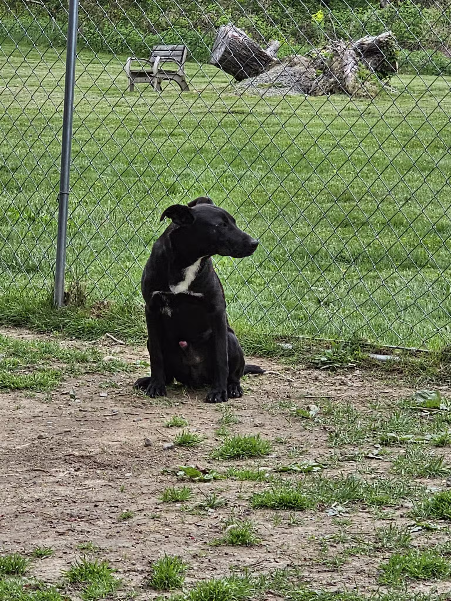 Hudson Valley SPCA - New Windsor, NY