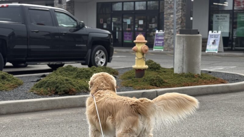 Pet Supplies Plus New Windsor (Vails Gate) - New Windsor, NY