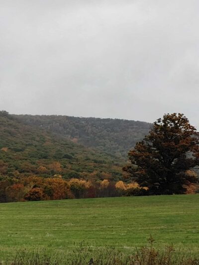 Schunnemunk Mountain Trail Head - New Windsor, NY