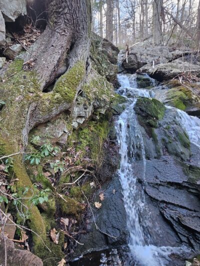 Schunnemunk Mountain Trail Head - New Windsor, NY