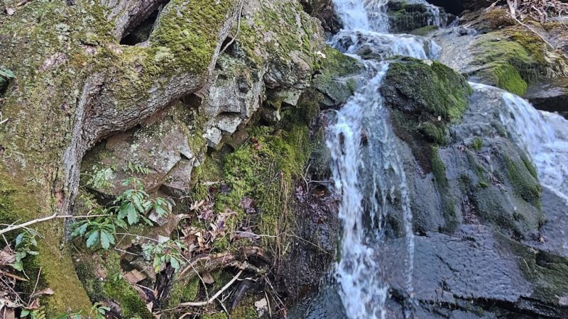 Schunnemunk Mountain Trail Head - New Windsor, NY