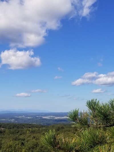 Sharon's Bench - New Windsor, NY
