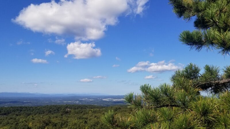 Sharon's Bench - New Windsor, NY