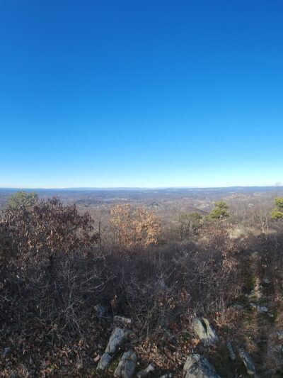 Sharon's Bench - New Windsor, NY
