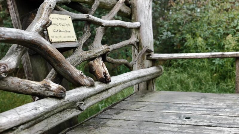 Sharon's Bench - New Windsor, NY