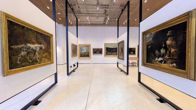 AKC Museum of the Dog - New York, NY