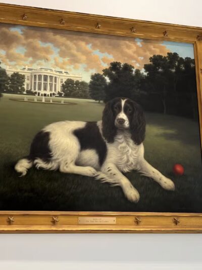 AKC Museum of the Dog - New York, NY