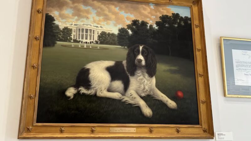 AKC Museum of the Dog - New York, NY