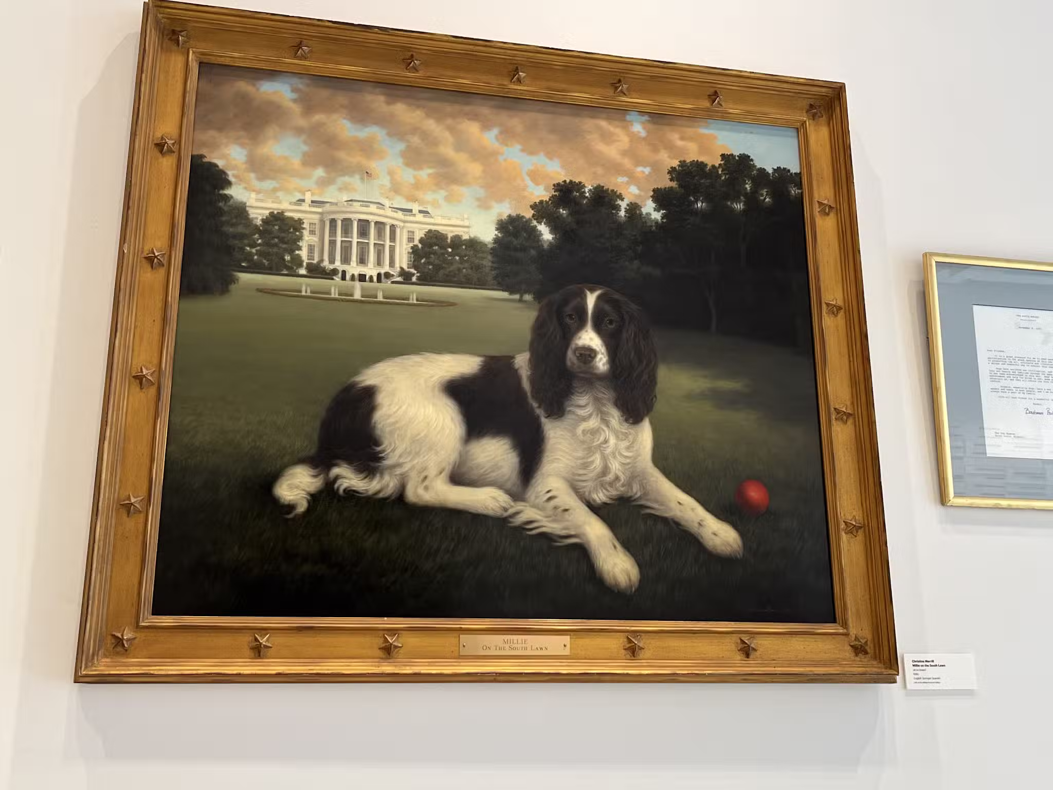 AKC Museum of the Dog - New York, NY