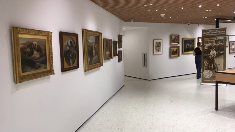 AKC Museum of the Dog - New York, NY