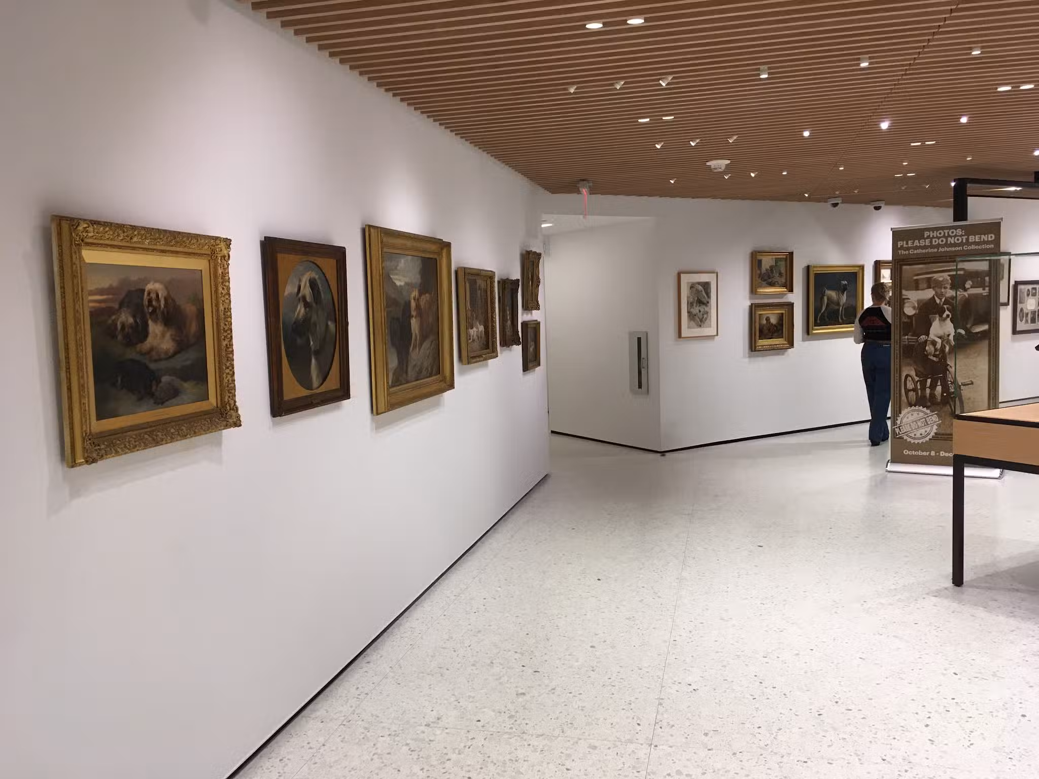 AKC Museum of the Dog - New York, NY