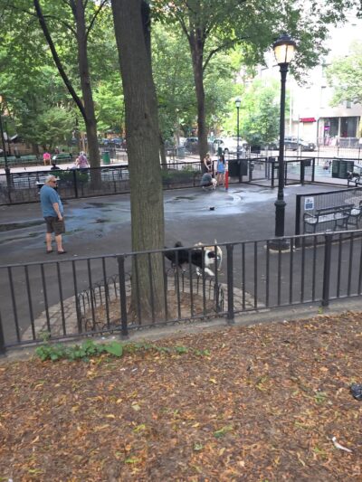 Bellevue South Park Dog Run - New York, NY
