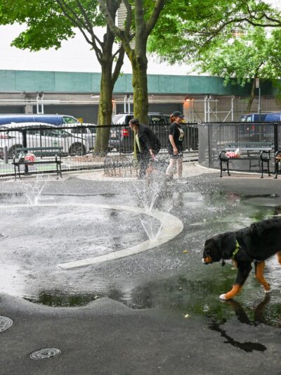 Bellevue South Park Dog Run - New York, NY