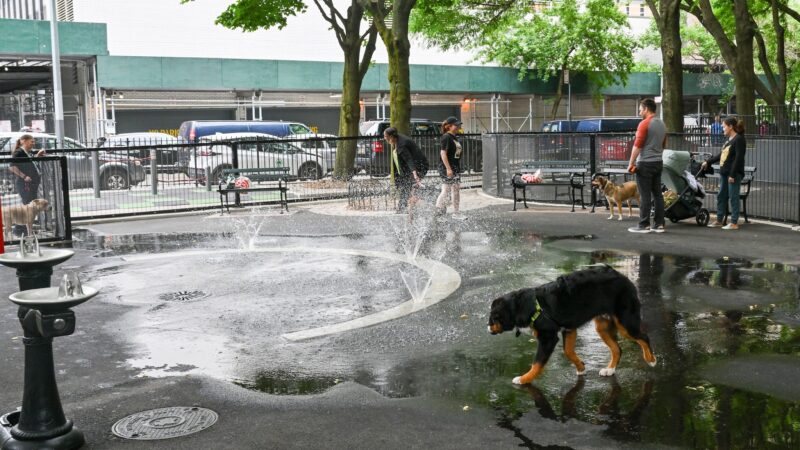 Bellevue South Park Dog Run - New York, NY