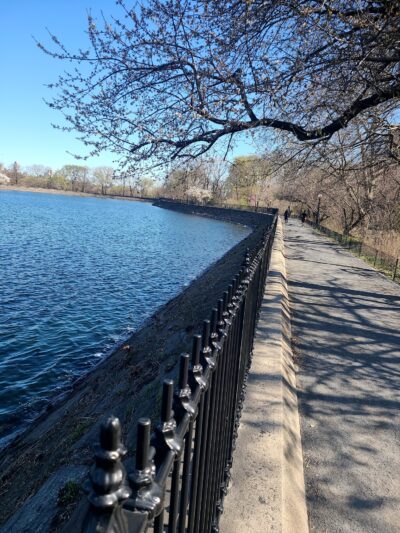 Central Park West of Reservoir - New York, NY