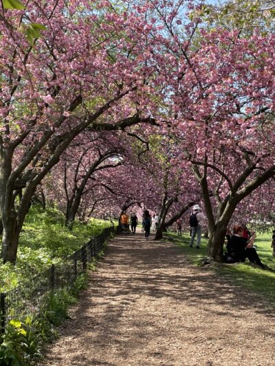 Central Park West of Reservoir - New York, NY
