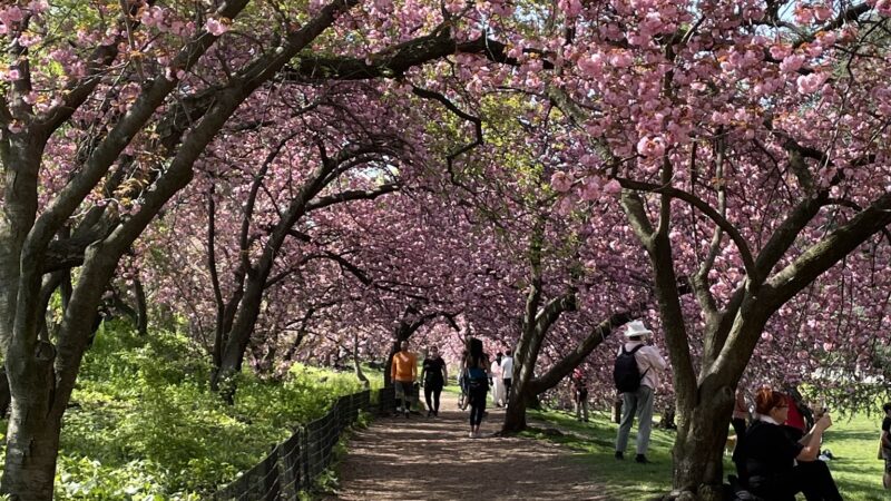 Central Park West of Reservoir - New York, NY