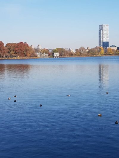 Central Park West of Reservoir - New York, NY