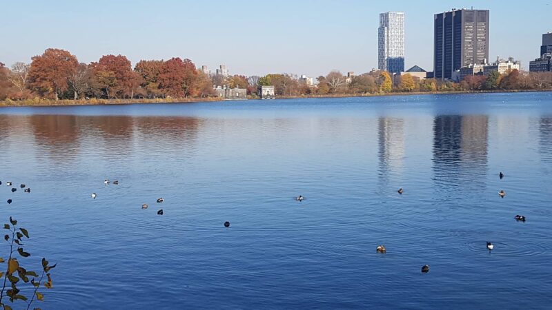 Central Park West of Reservoir - New York, NY