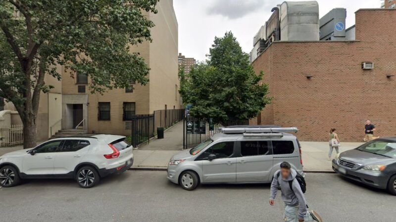 Dog Park - New York, NY