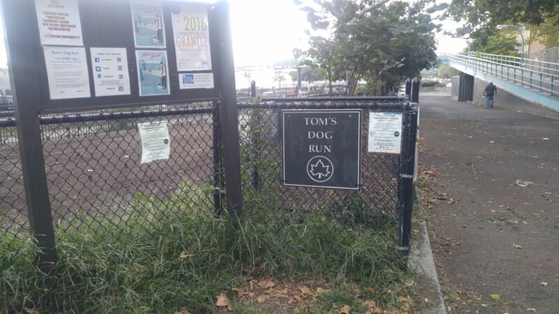 Dog Park - New York, NY