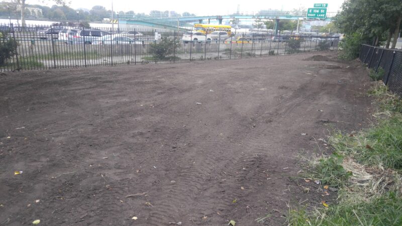 Dog Park - New York, NY