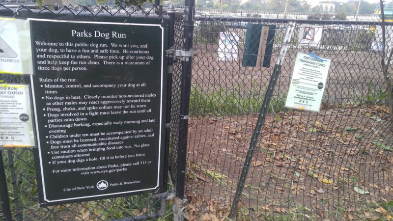 Dog Park - New York, NY