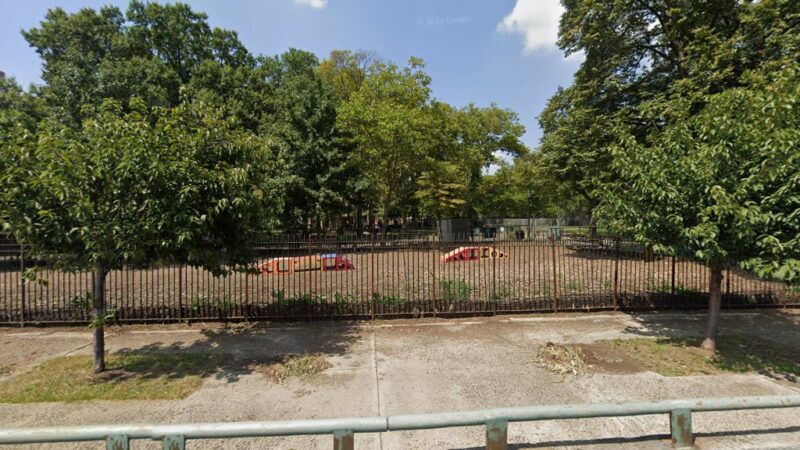 Dog Park - New York, NY