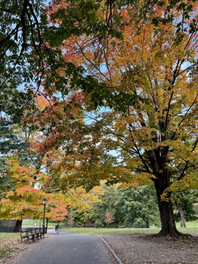 East Meadow - New York, NY