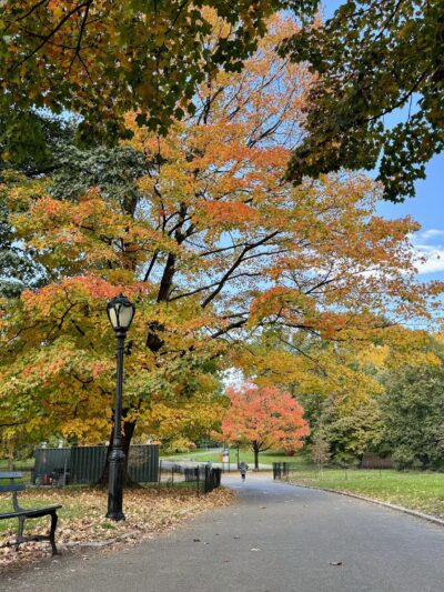 East Meadow - New York, NY