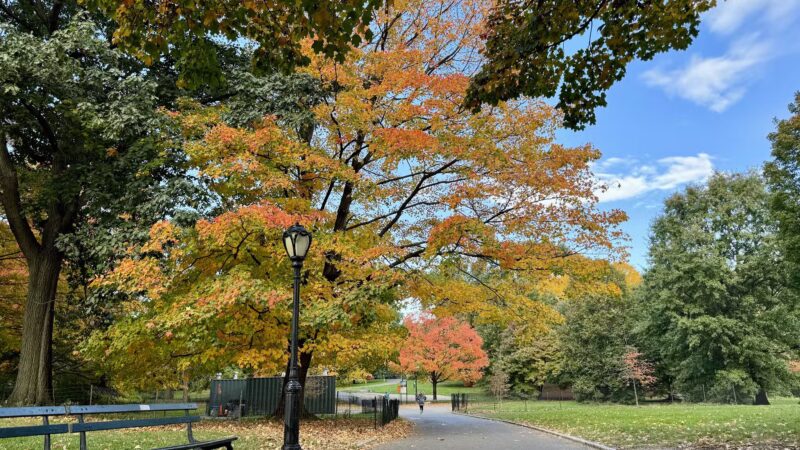 East Meadow - New York, NY