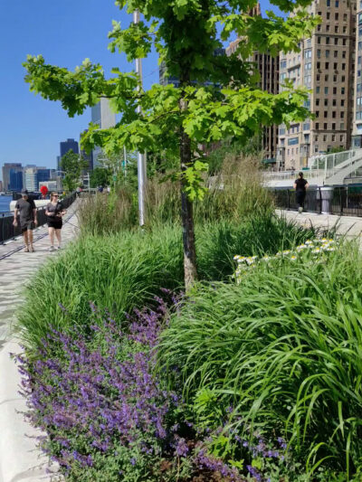 East River Esplanade - New York, NY