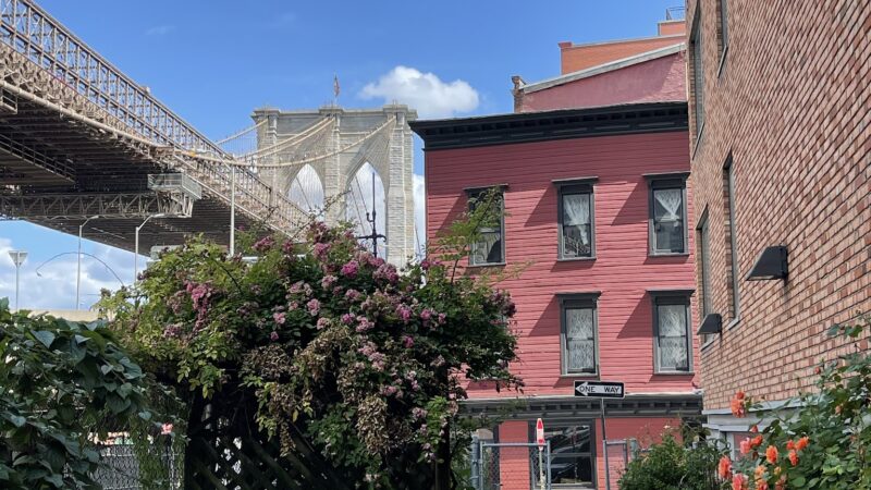 FishBridge Park Garden - New York, NY